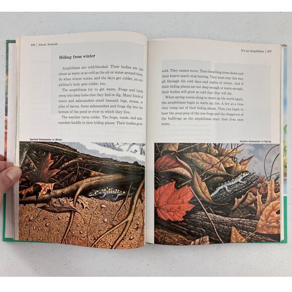 Vintage 1988 Childcraft How And Why Library About Animals Childrens Encyclopedia - Picture 8 of 13